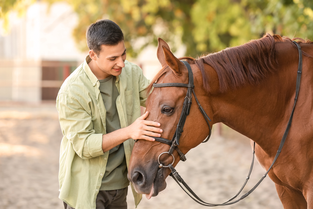 Young Man Gently Petting a Brown Horse Outdoors - Equine Retirement Homes